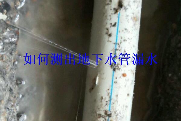 1297acaf9a1b498993f3264680050587.jpg