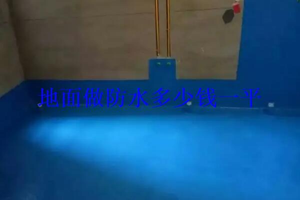 174e5c6c88d64d99a63c1e5bcffbe919.jpg